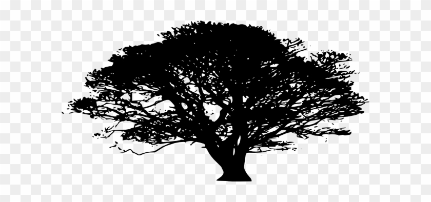 Oak Tree Silhouette Png #436230