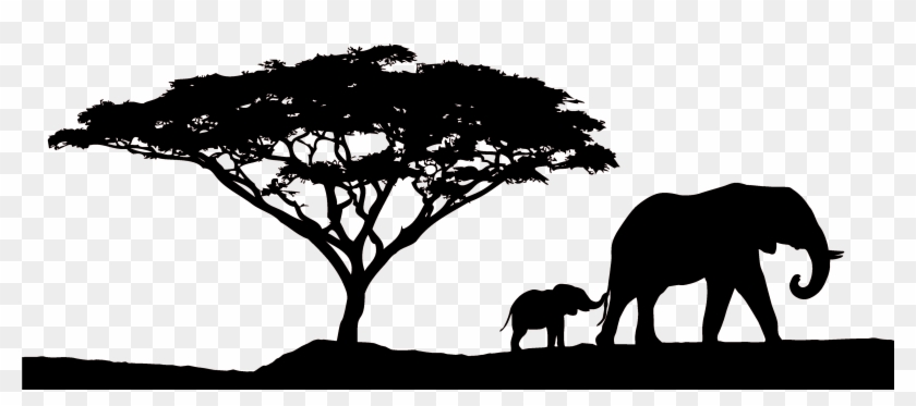 African Sunset Safari - African Tree Silhouette Png #436235