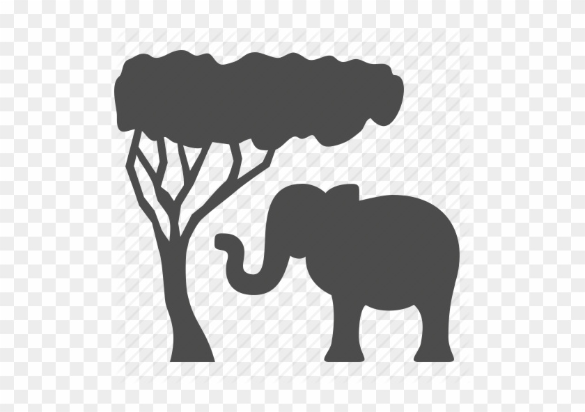 Africa, Animal, Elephant, Safari, Tourism, Tree, Vacation - Africa Tree Icon #436302