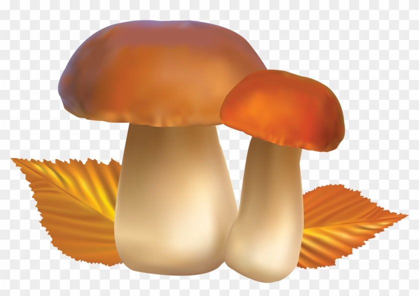 Download - Autumn Mushroom Clipart #436318