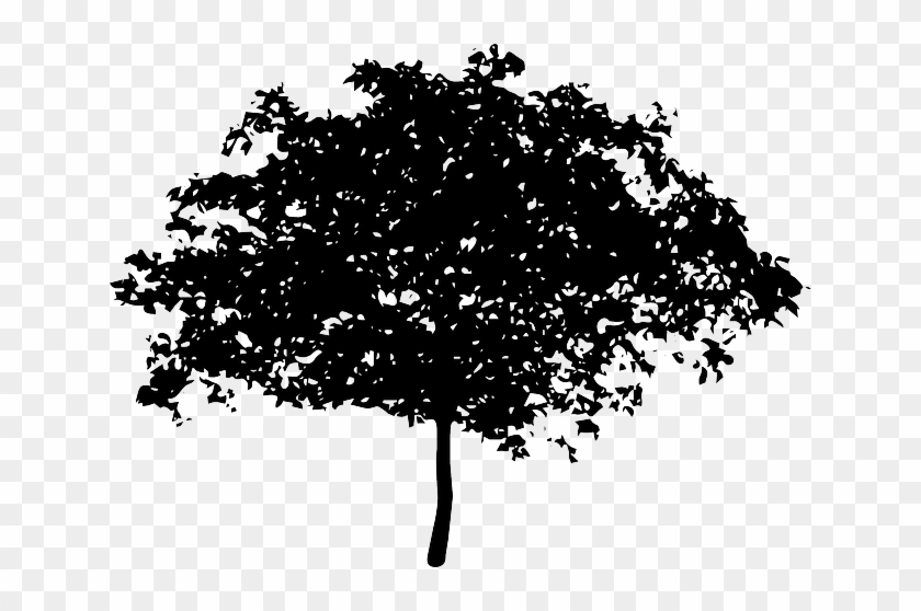 Silhouette Tree, Bush, Nature, Leaves, Trunk, Silhouette - Voice Of The Children In The Apple Tree #436324