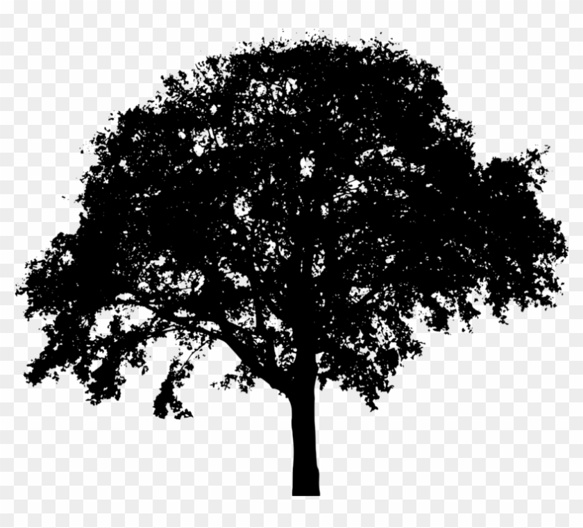 Tree Silhouette - Tree Silhouette Clip Art #436327