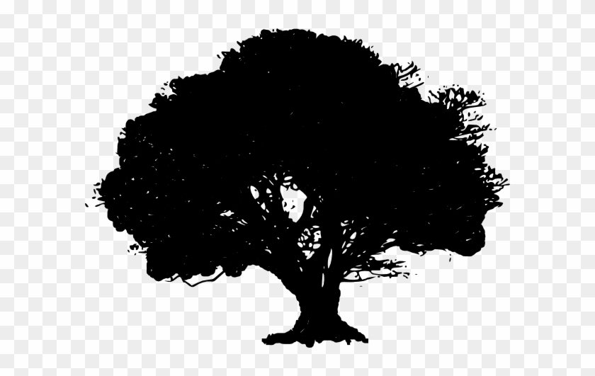 Oak Tree Silhouette Clip Art Free - Oak Tree Silhouette Vector #436328