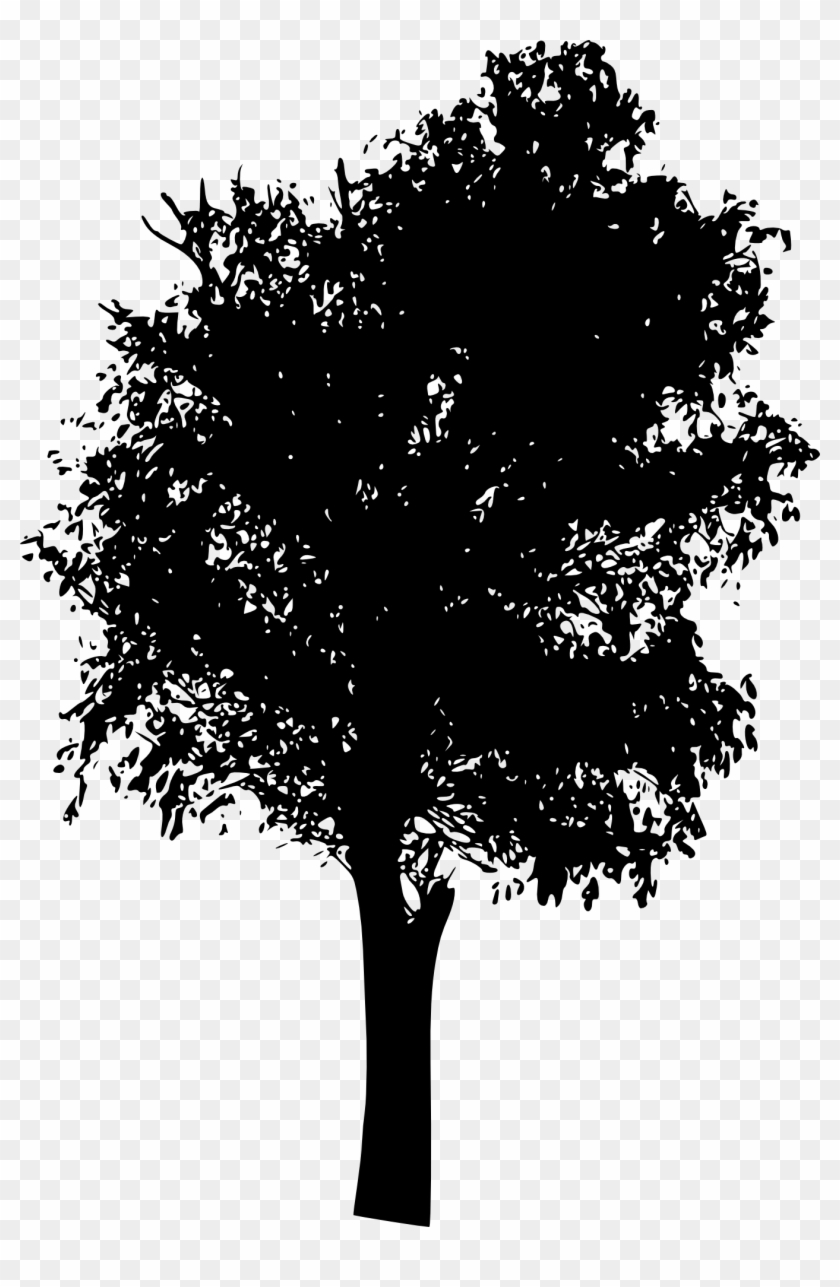 45 Tree Silhouettes Png Transparent Background Onlygfx - Vector Tree Silhouette #436340