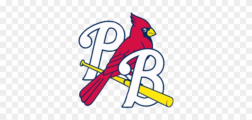 Logo Pb Color - St Louis Cardinals Bird On Bat Logo Png #436483