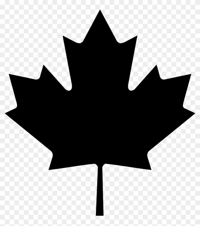 Hostile Sheep Is Proudly Based In Toronto, Canada - Leaf On The Canadian Flag #436485