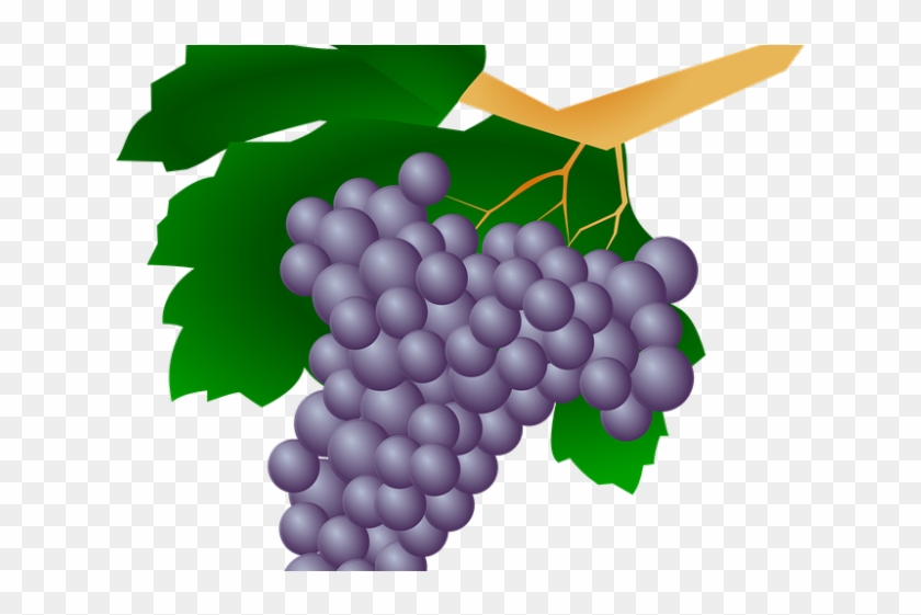 Grapes Clipart Uva - Grape #436610