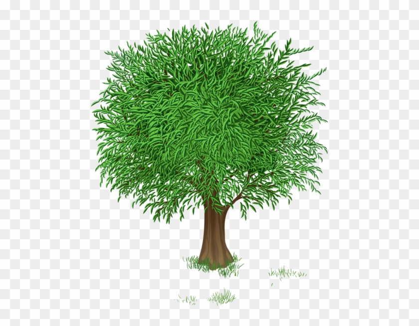 Spring Tree Clipart #436639