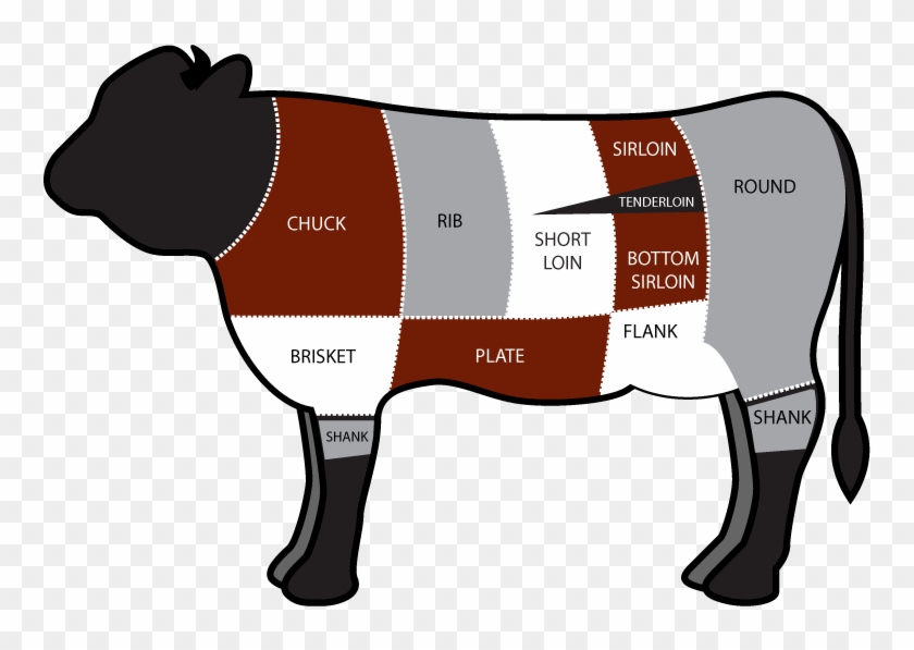 Cow Cuts - Part Of The Cow Is Brisket #436664