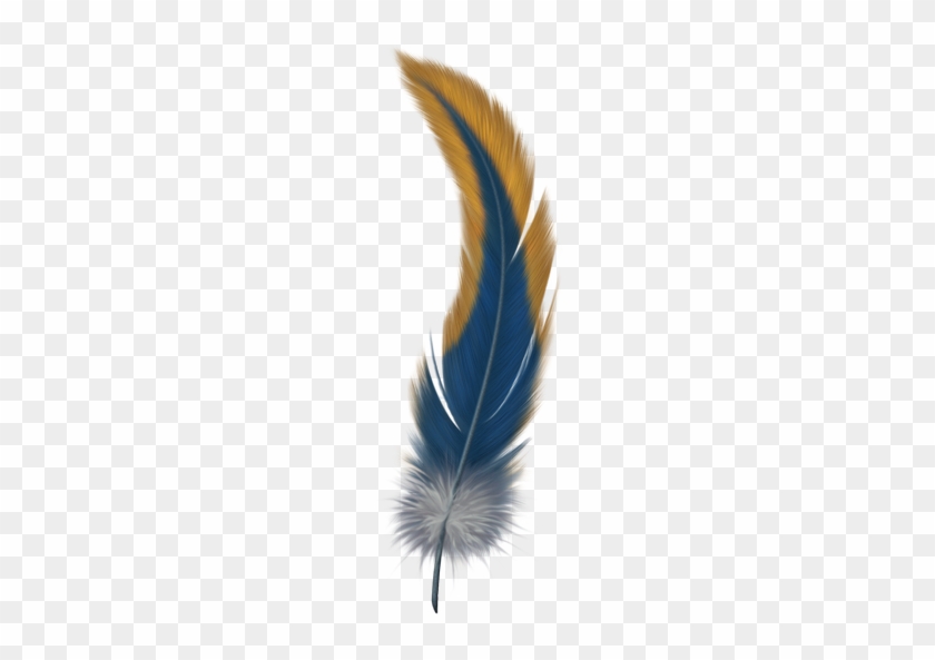 Single Peacock Feathers With Flute Png - Feather Png #436804