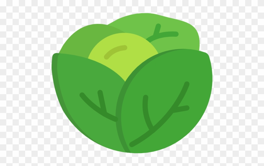 Lettuce Free Vector Icon Designed By Freepik - Lettuce Icon Png #437074