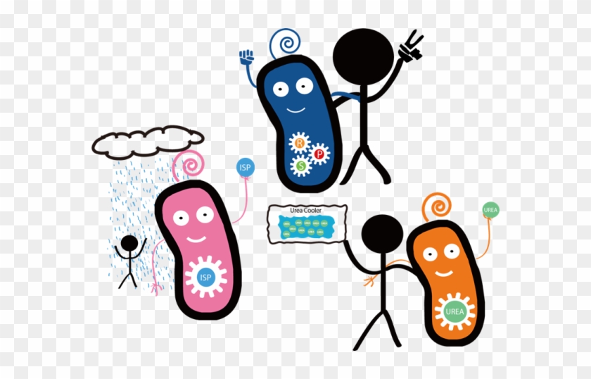Cool Down In Summer With Our Rock Paper Scissors Game - E Coli And Humans #437181