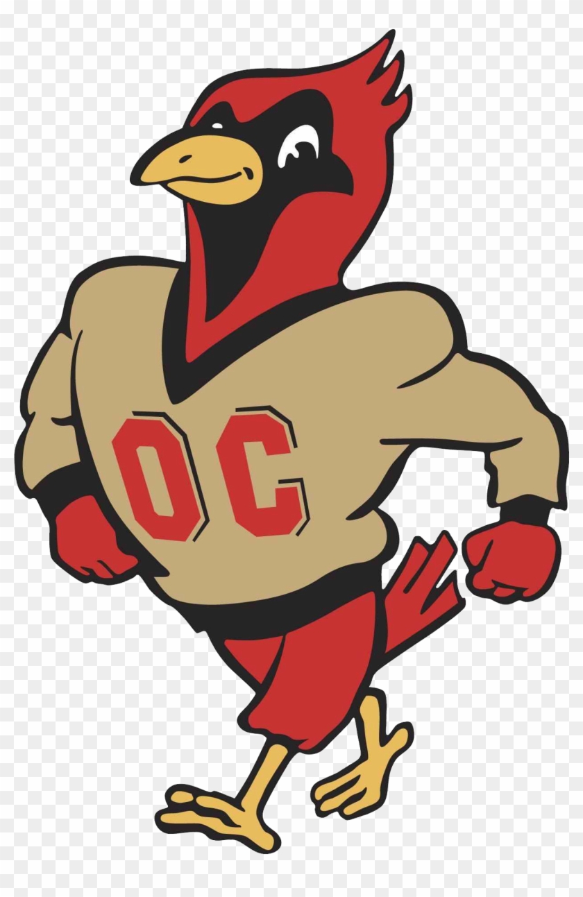Cardinals, Otterbein University Div Iii, Ohio Athletic - Otterbein University Cardinal #437329