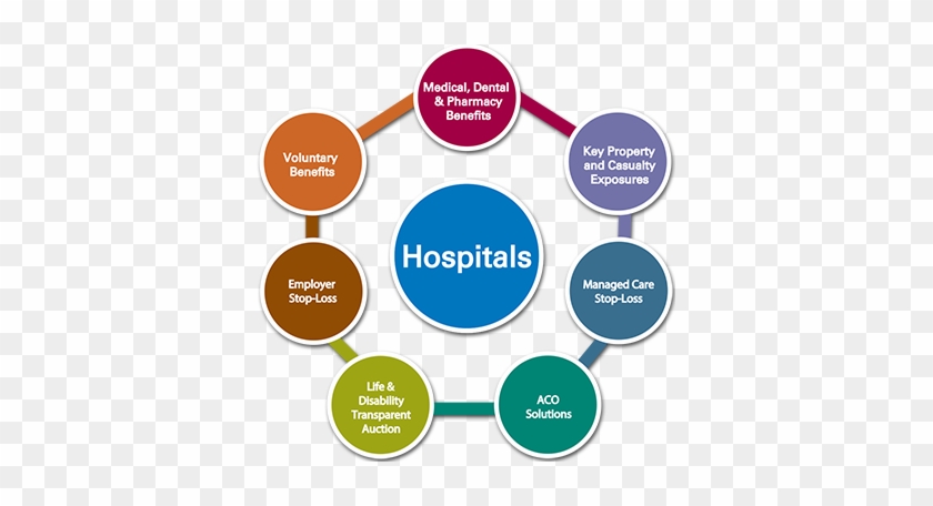 Hospital Insurance Solutions - Integrated Healthcare Delivery System #437474