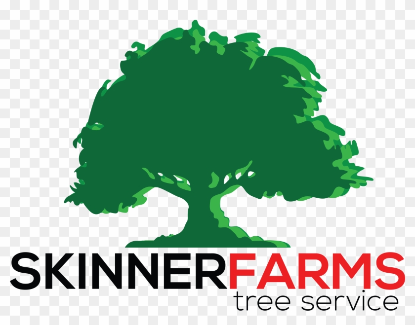 Skinner Farms Tree Service - Skinner Farms Tree Service #437502