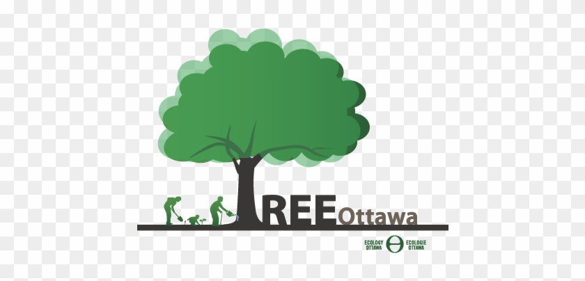 Tree Ottawa Logo - Tree Ottawa #437516