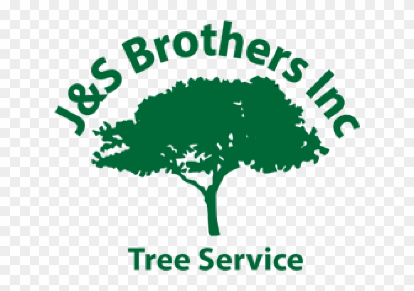 J&s Brothers Tree Service - Tree #437520