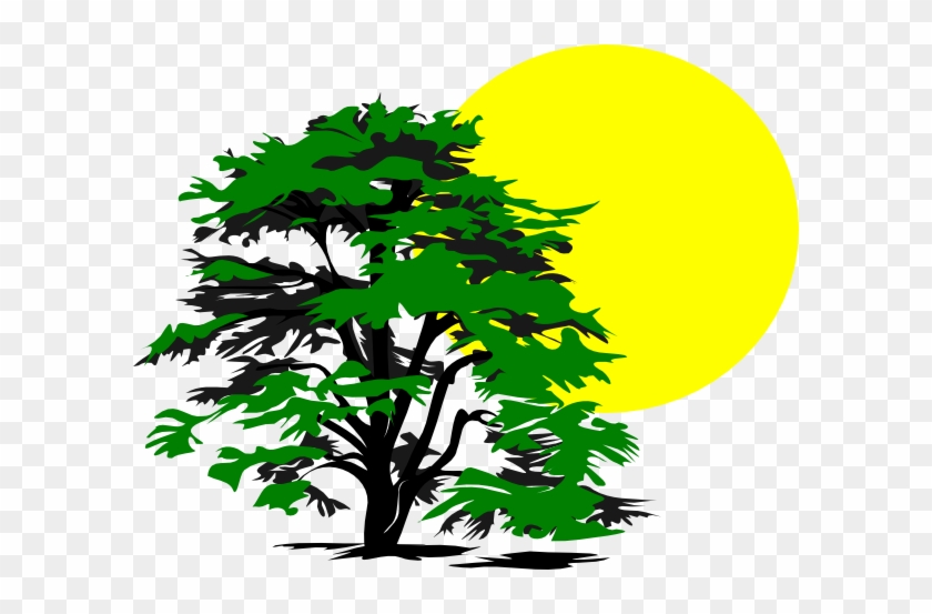 Tree And Sun Clip Art #437625