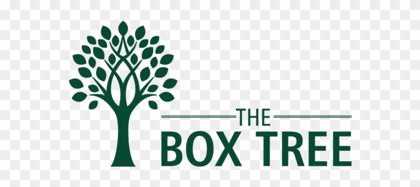 The Box Tree - Box Tree #437654