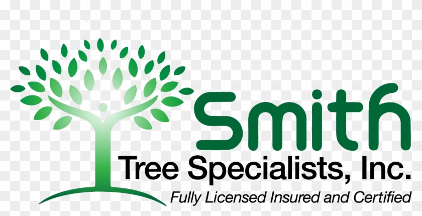 Contact Us For Specialized Tree Care - Scott Specialized Catalogue Of United States Stamps #437664