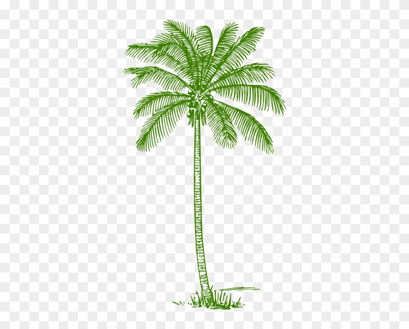 This Free Clip Arts Design Of Palm Tree - Coconut Tree Clipart Black And White #437711