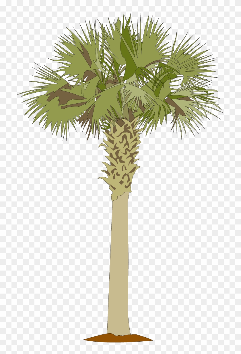 Perfect Palmetto Tree Clip Art Medium Size - Palm Tree Cut Out #437715