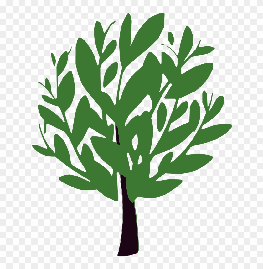 The Bay Tree - Bay Tree Logo #437744