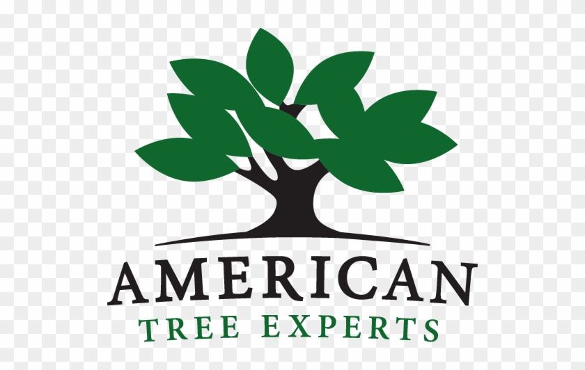 American Tree Experts - American Tree Experts Inc #437751