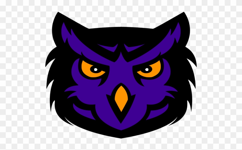 I'm Hoping To Use This Logo In My Fictional Football - Purple Owl Logo #437795