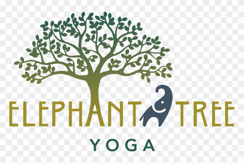 Elephant Tree Yoga - Genealogy Basics In 30 Minutes By Shannon Combs-bennett #437804