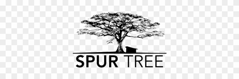 Spur Tree Lounge - Spur Tree #437838