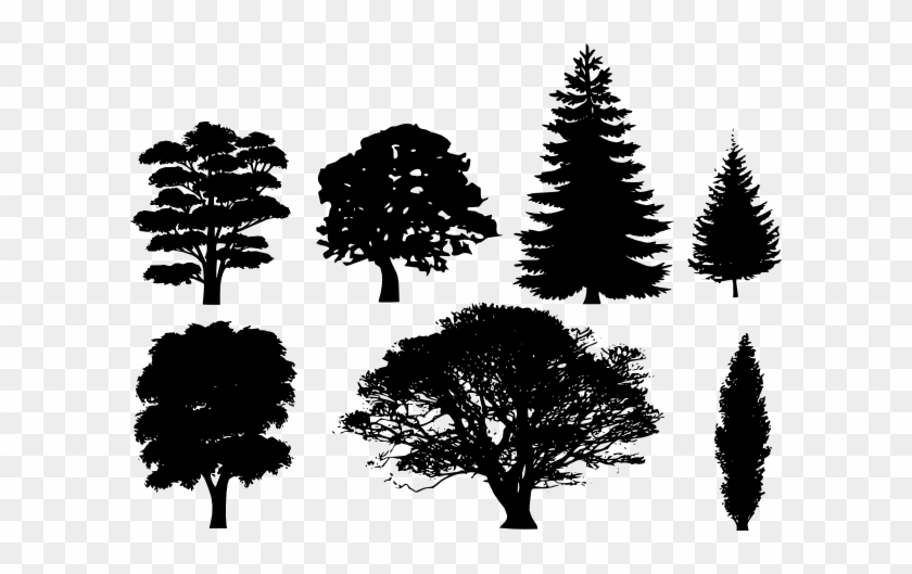 Trees Silhouette Vector Png #437878