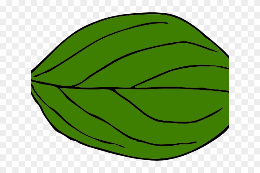 Leaf Clipart Oval - Oval Leaf #437923