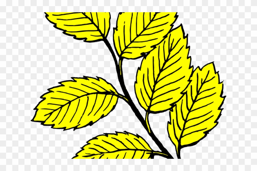 Leaf Clipart Yellow Birch - Leaf Black And White #437954