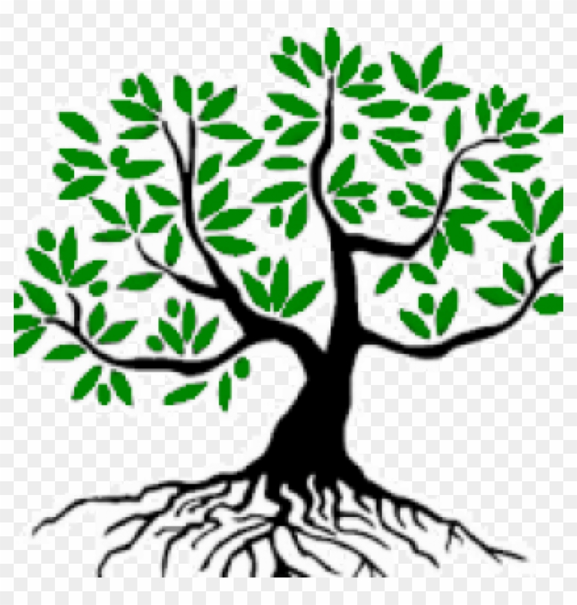 Good Tree ~ شجرة طيبة - Olive Tree Clip Art #437956