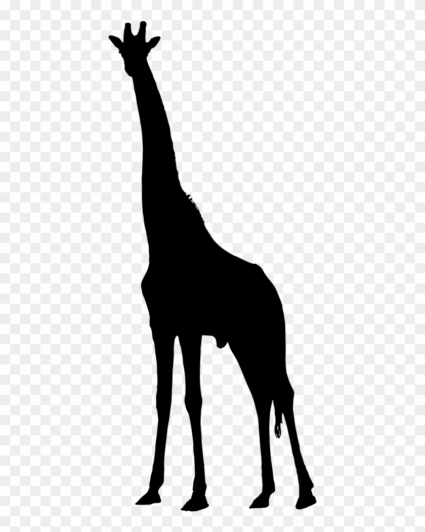 Clip Art Details - Giraffe Silhouette Png #438087