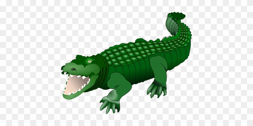 Crocodile Alligator Animal Reptile Green W - Crocodile Clipart #438125