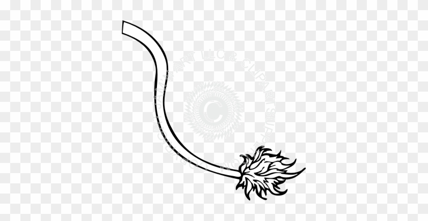 Lion Tail Clipart - Drawing Of A Lion's Tail #438463