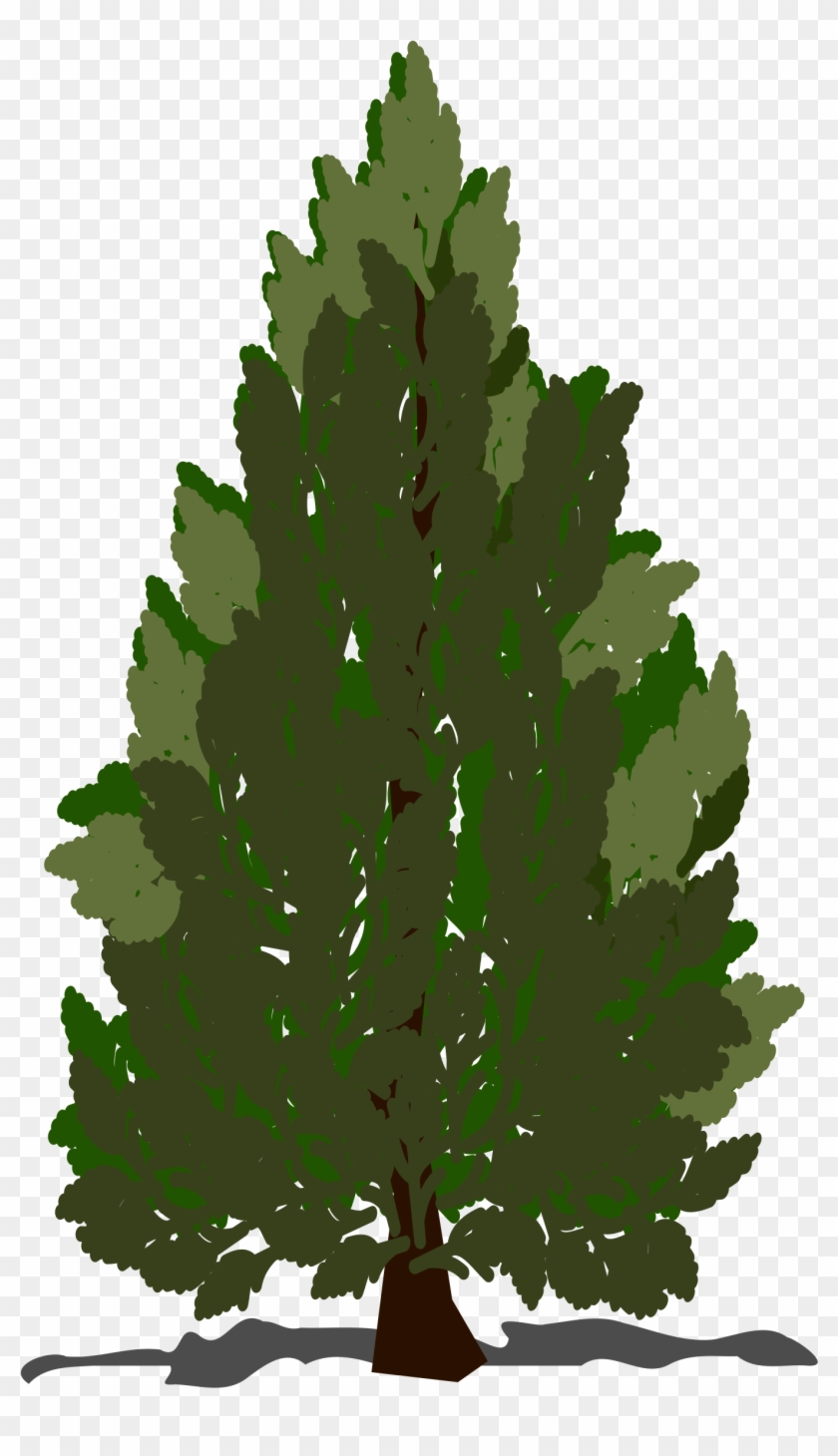 Pine Tree Clipart Swamp Tree - Clip Art Pine Tree #438555