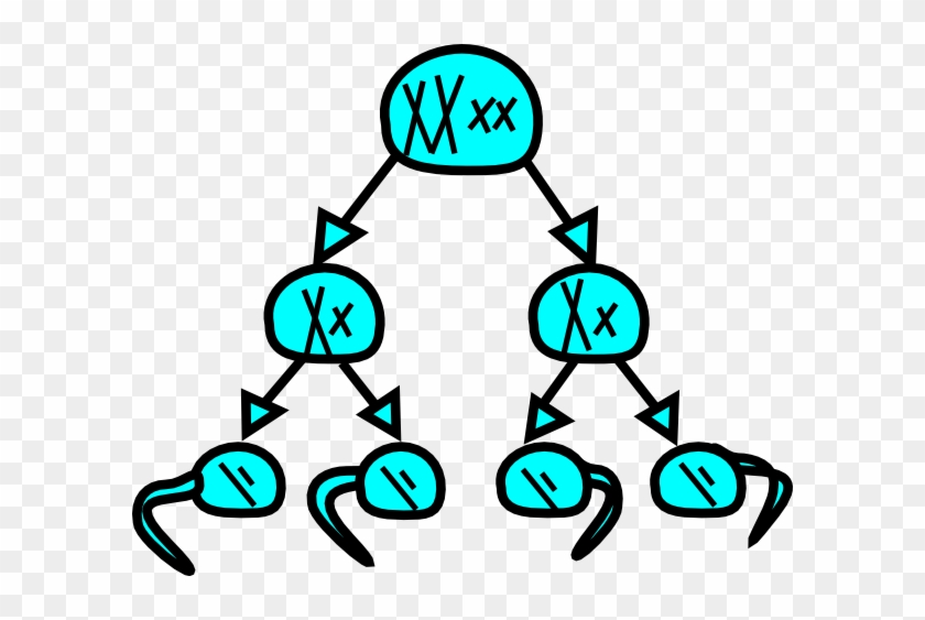 Genetics - Clipart - Mitosis Clip Art Png #438695