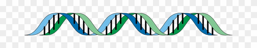 Dna Gene Genetic Helix Rna Mutagenic Herit - Gene #438697