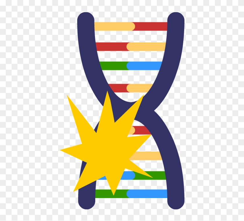 Genetic Mutations - Mutation Png #438708