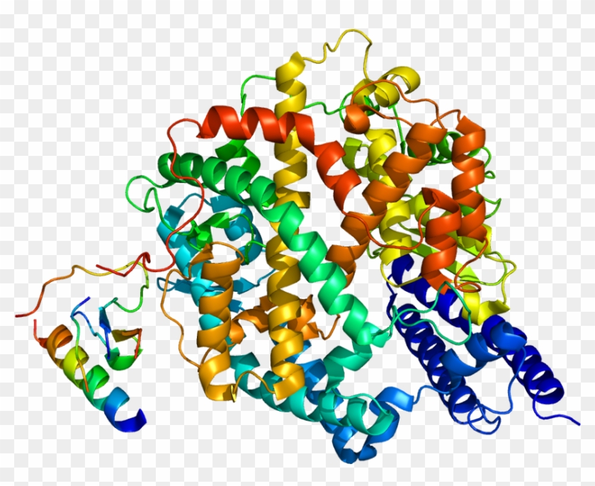 Angiotensin Converting Enzyme Structure Pubmed #438748