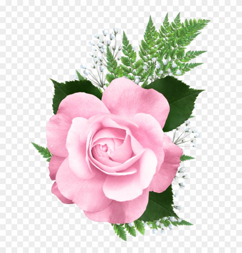 Snowdrop Clipart Yopriceville - Pink Roses Png Transparent #438881