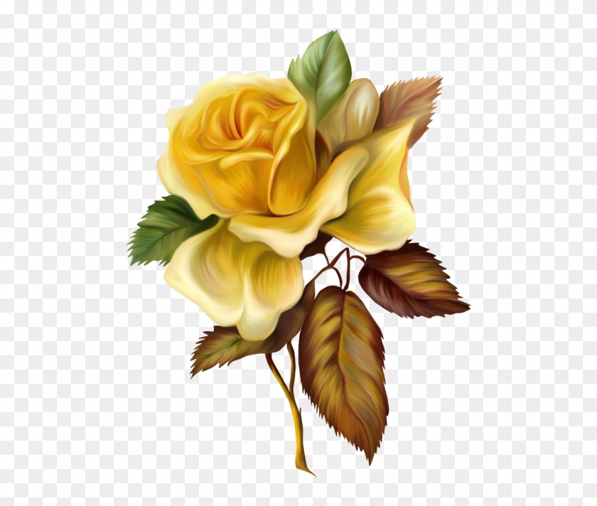 Rose Clip Art Images Rose - Yellow Rose Png #438967