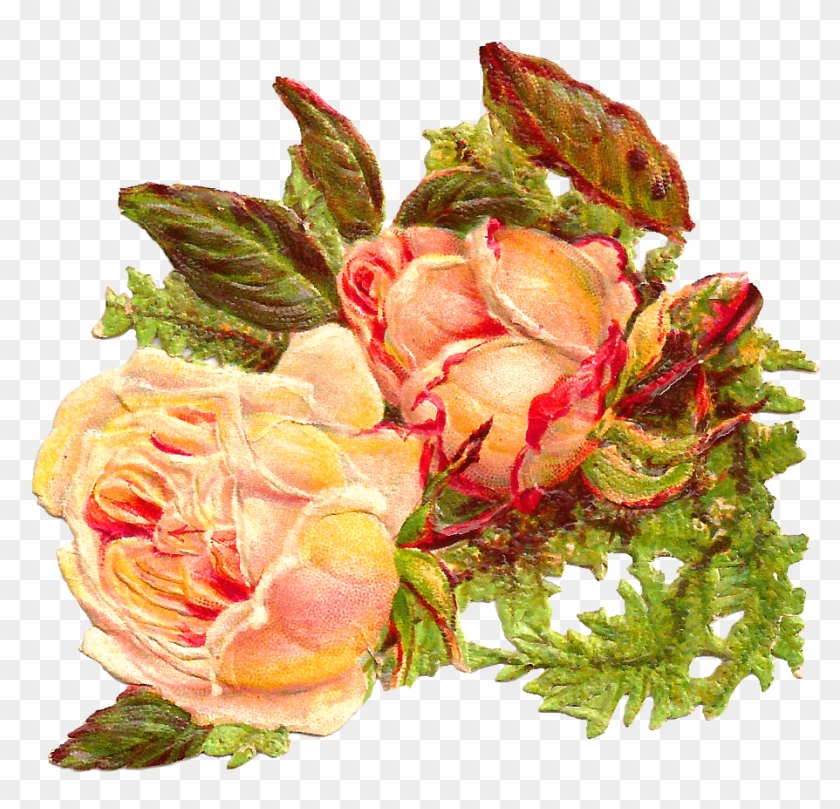This Is An Antique, Victorian Scrap Of Two Beautiful, - Rose #438970