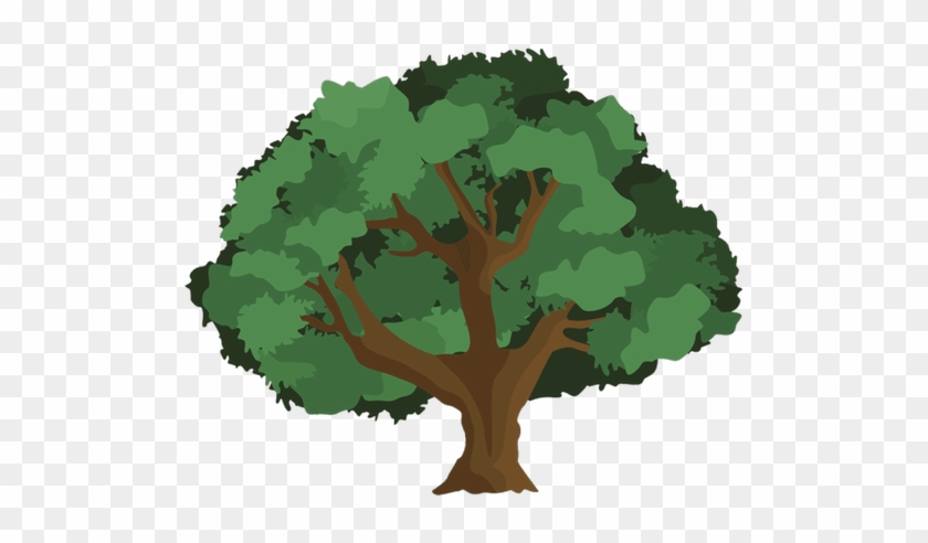 The Oak Tree Service - Types Of Chestnut Trees #439486