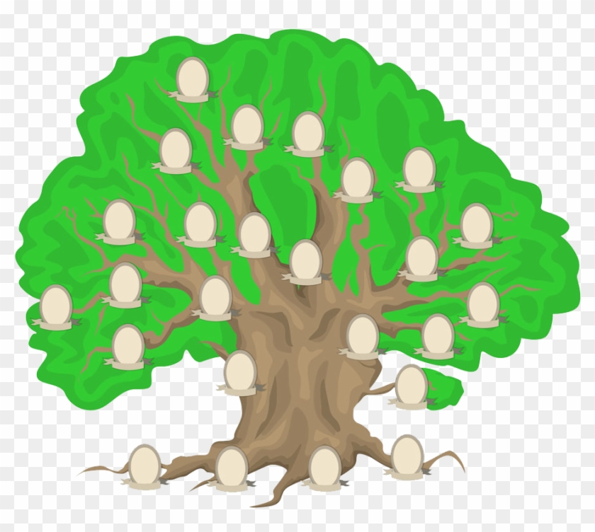 Paper Genealogy Family Tree Family History - Paper Genealogy Family Tree Family History #439549