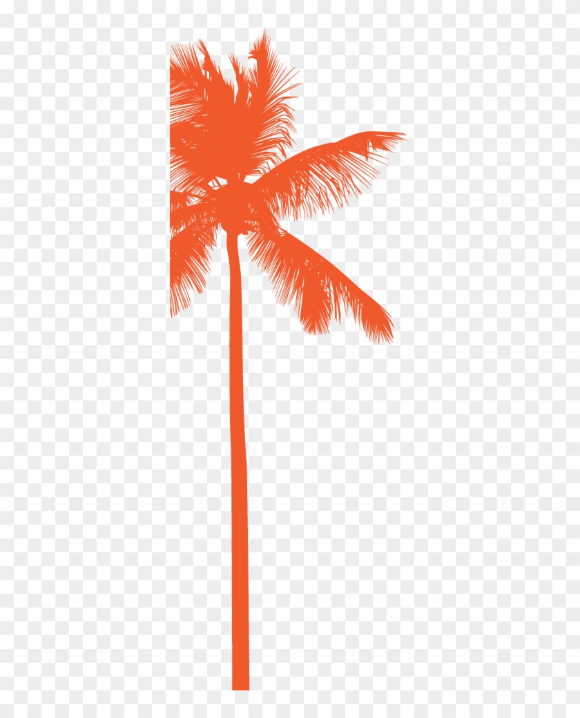 Join Our Mailing List - Black And White Palm Trees #439531