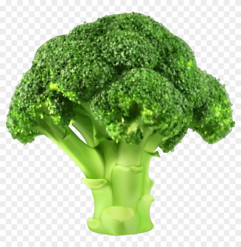 Broccoli Png Clipart - Vegetable Seeds-heirloom Seeds-tomato Seeds-spinach #439572
